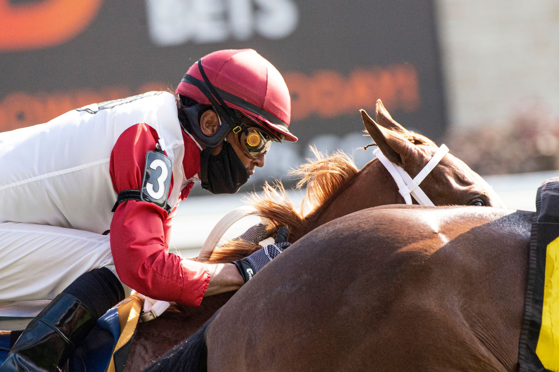 Intense moment of jockey mid-race on a galloping horse, showcasing speed and competition.