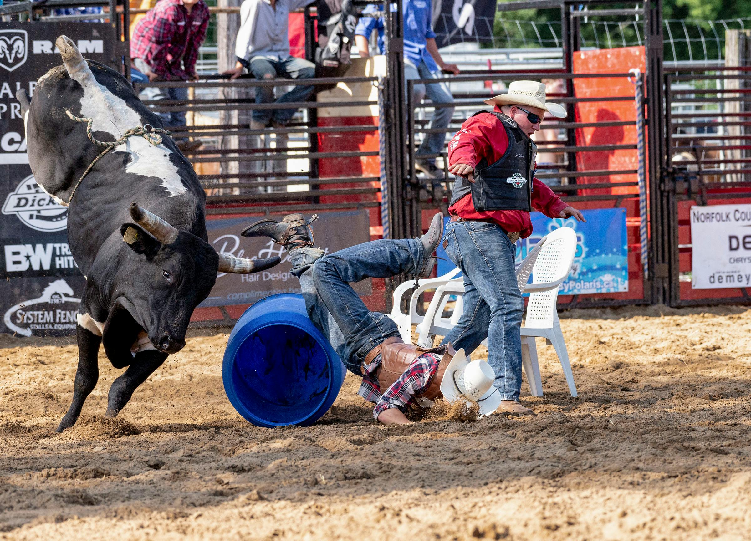 Download A Bold Bull Rider Gearing Up for the Next Challenge Wallpaper   Wallpaperscom