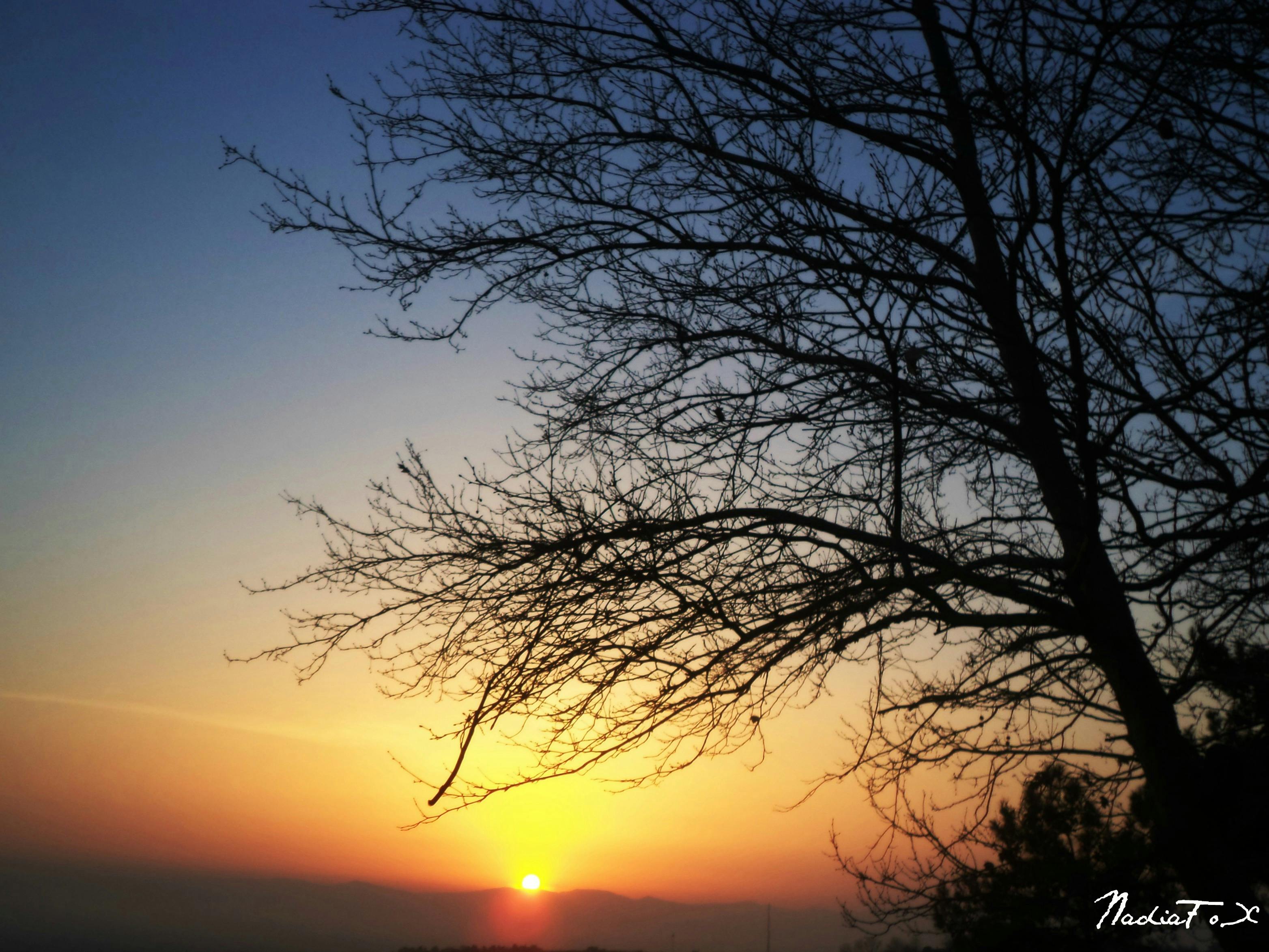 Free Stock Photo Of Nature Shadow Sun