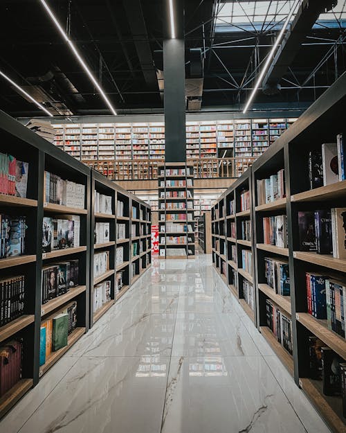 Brown Wooden Book Shelves With Books