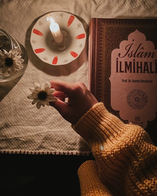 Person Holding a White Flower