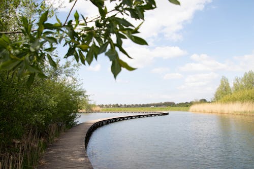 A Wooden Boardwalk on a Body of Water