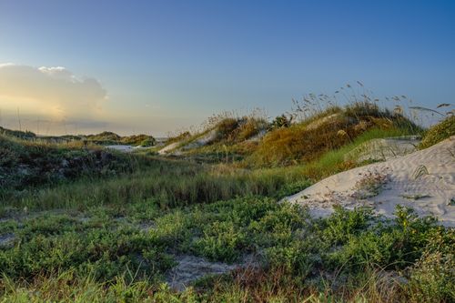 Free Captivating sand dunes and vibrant greenery under a stunning sunset sky, perfect for nature enthusiasts. Stock Photo