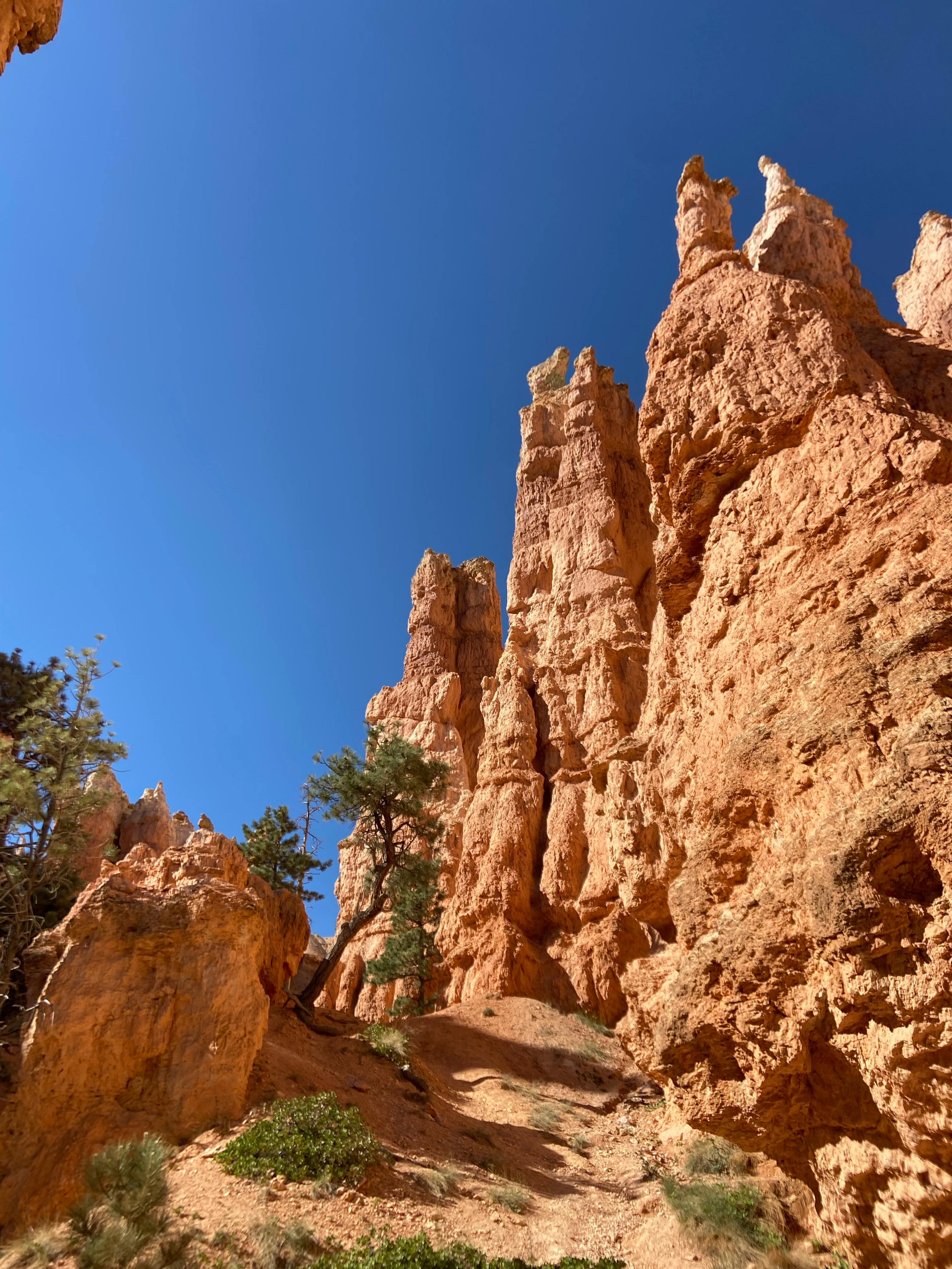 Gratis lagerfoto af amerikansk sydvest, blå himmel, Bryce canyon Lagerfoto