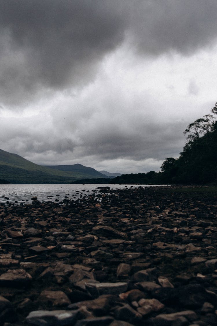 A Rocky Seashore