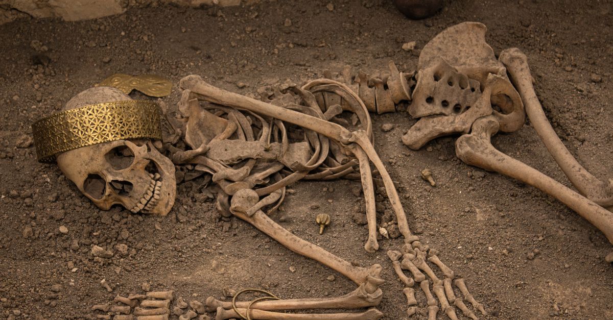 Major fossils that provide insight into human ancestors’ lifestyles Major fossils that provide insight into human ancestors’ lifestyles