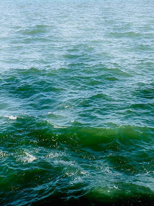 бесплатная Бесплатное стоковое фото с вертикальный выстрел, волны, море Стоковое фото