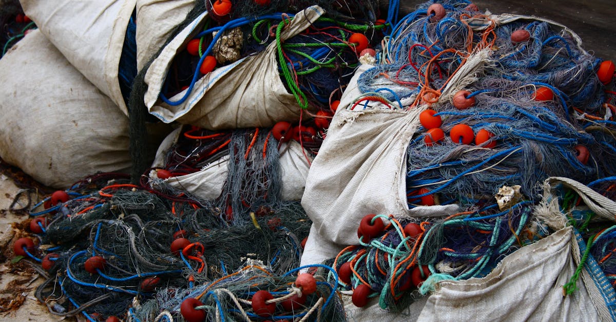Free stock photo of fishing nets