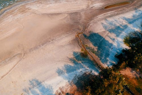 Photographie Aérienne Des Arbres Verts