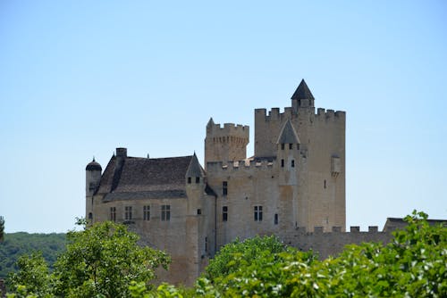 Brown Concrete Castle Surrounded by Green Trees