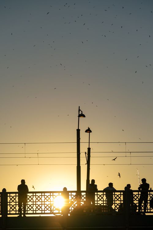 Free Silhouettes of people on a bridge against a sunset sky with birds flying above. Stock Photo