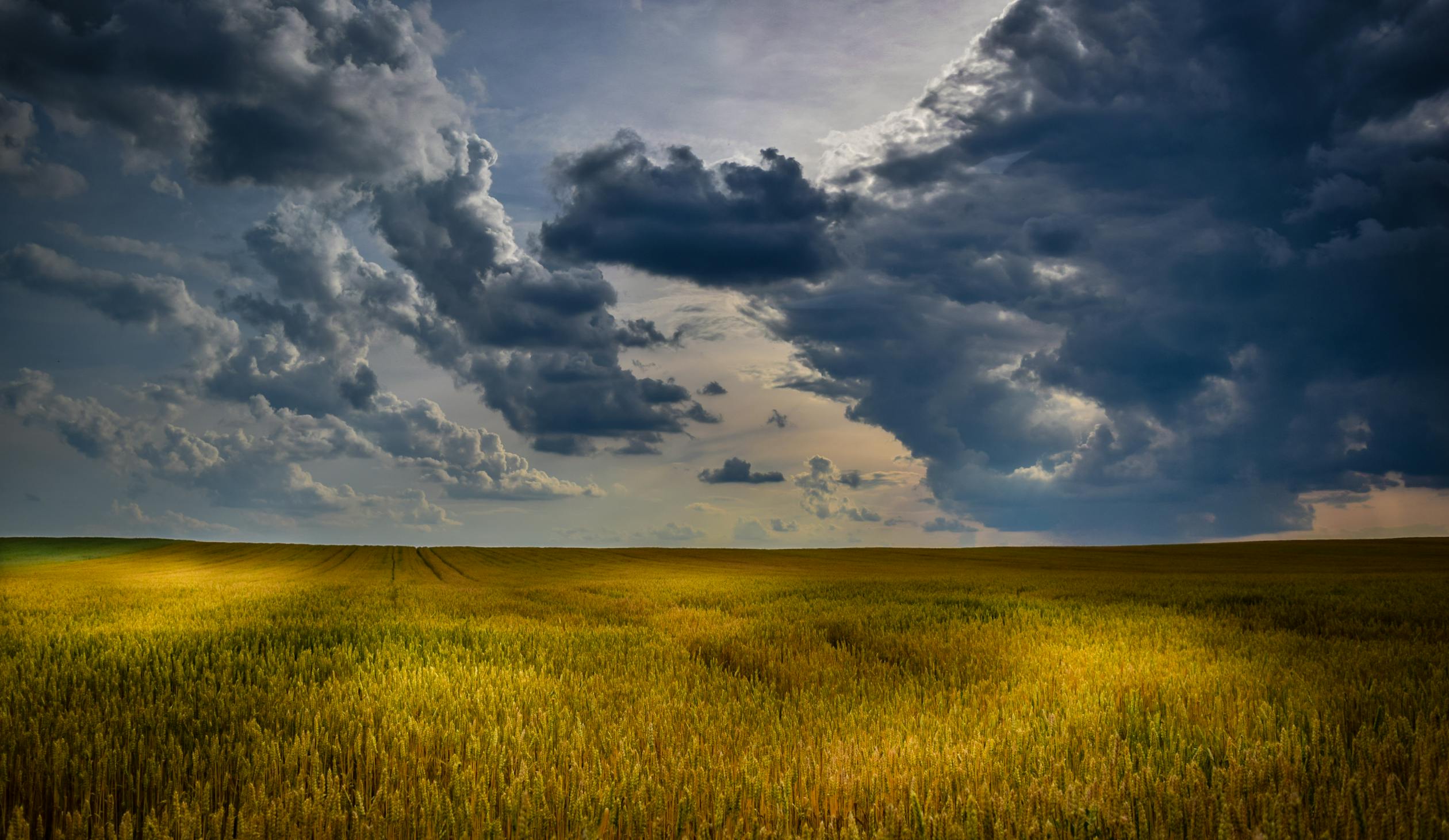 Green Grass Field during Daytime · Free Stock Photo