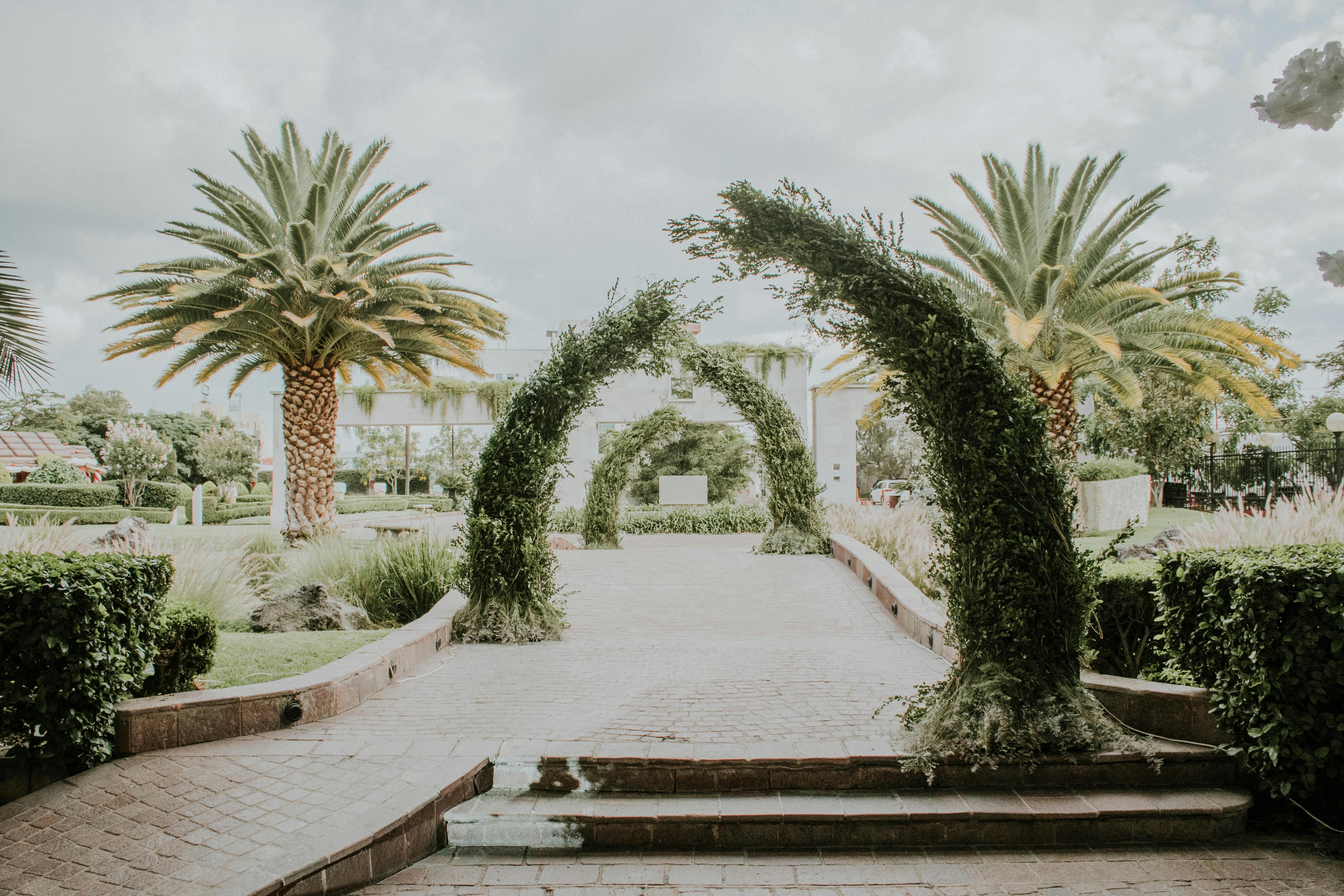 MND Local: How Los Cabos is positioning itself as a ‘second stop’ destination for World Cup travelers — Photo by Amar  Precia