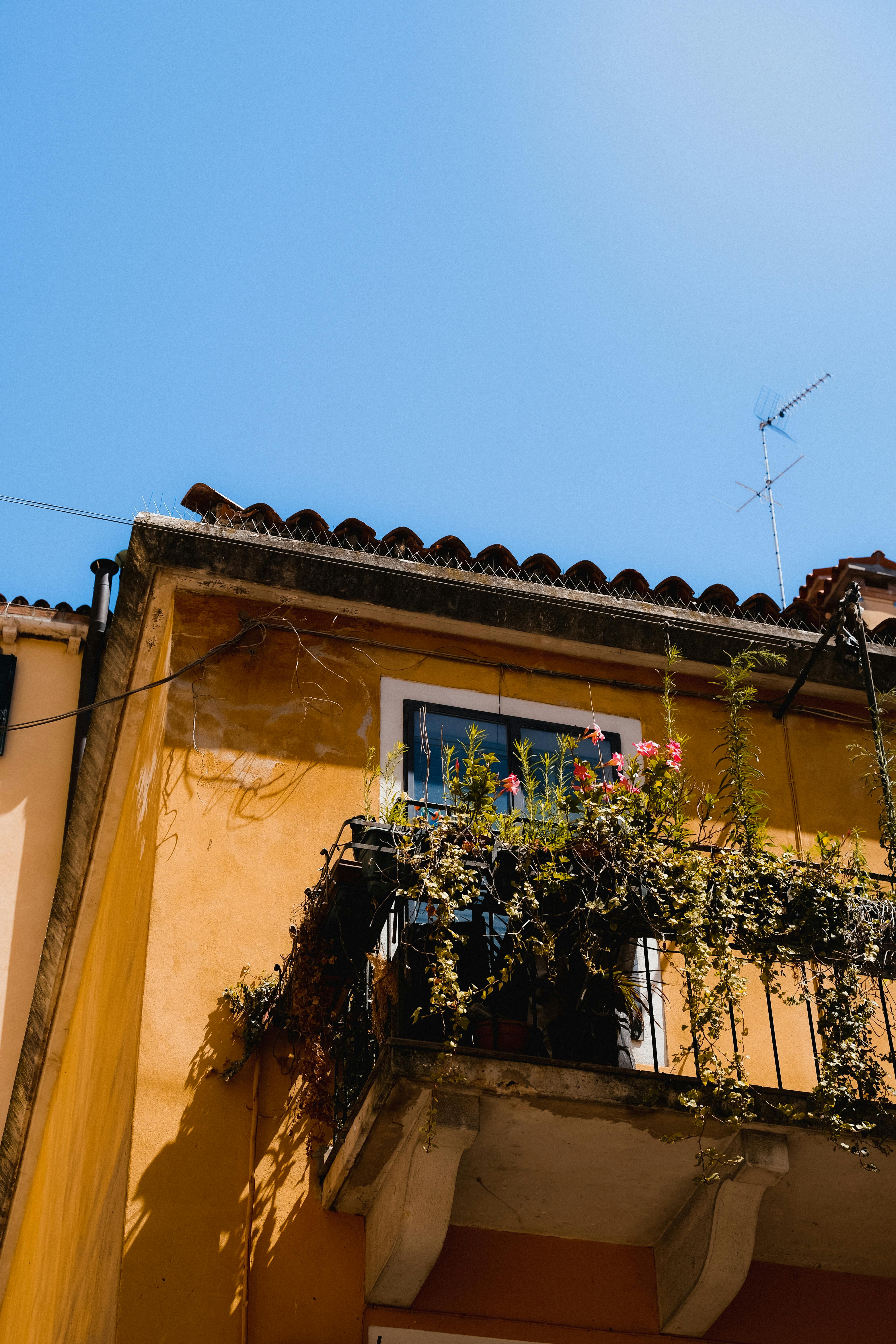 A vibrant yellow facade with a balcony adorned with green vines and flowers under clear blue sky.