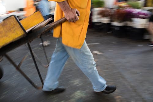 Безкоштовне стокове фото на тему «feira livre, вулиці, люди»