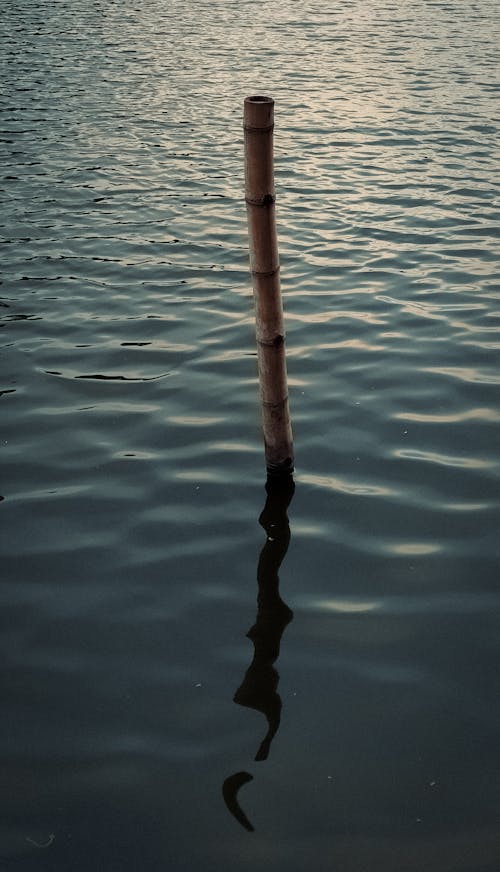 grátis Foto profissional grátis de corpo d'água, lago, pequenas ondas Foto profissional