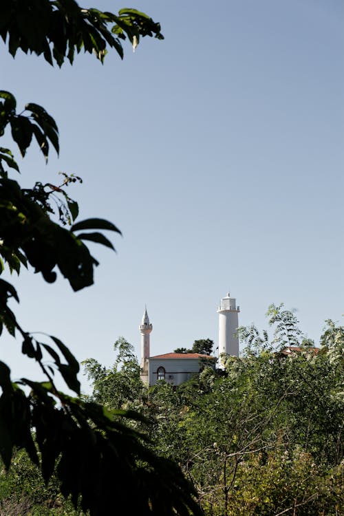 Free White Lighthouse near the Trees Stock Photo