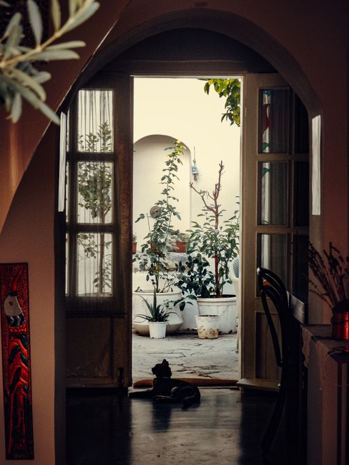 Free Cozy indoor scene with potted plants seen through an arched doorway, inviting a sense of nature indoors. Stock Photo