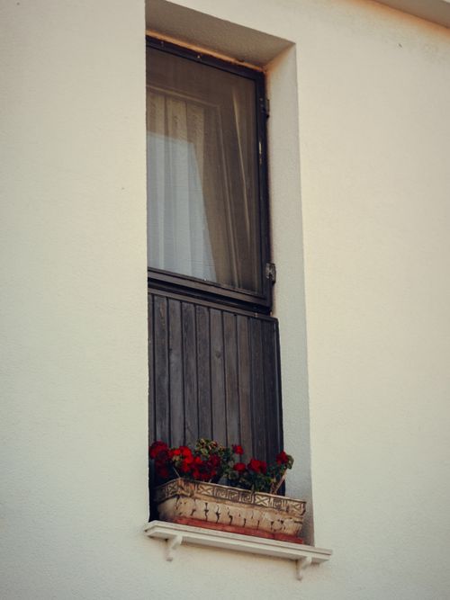 Free Vertical shot of a rustic wooden window with vibrant red flowers on a sunny day. Stock Photo