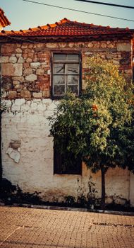 Charming rustic stone house with a lush tree against a warm, earthy wall. Perfect for architecture inspiration.
