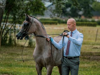 Man in Blue Long Sleeve Shirt Standing beside Brown Horse