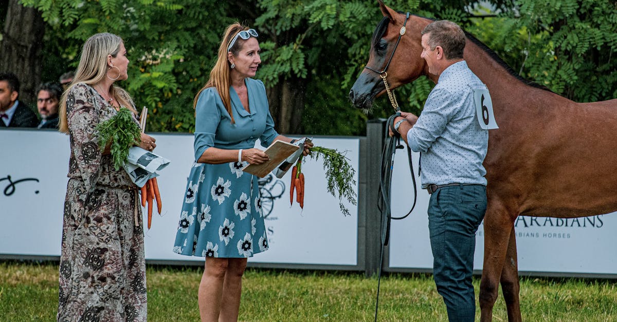 國際:奧斯卡收視人數下滑20%!影迷熱情降溫的3大原因揭秘