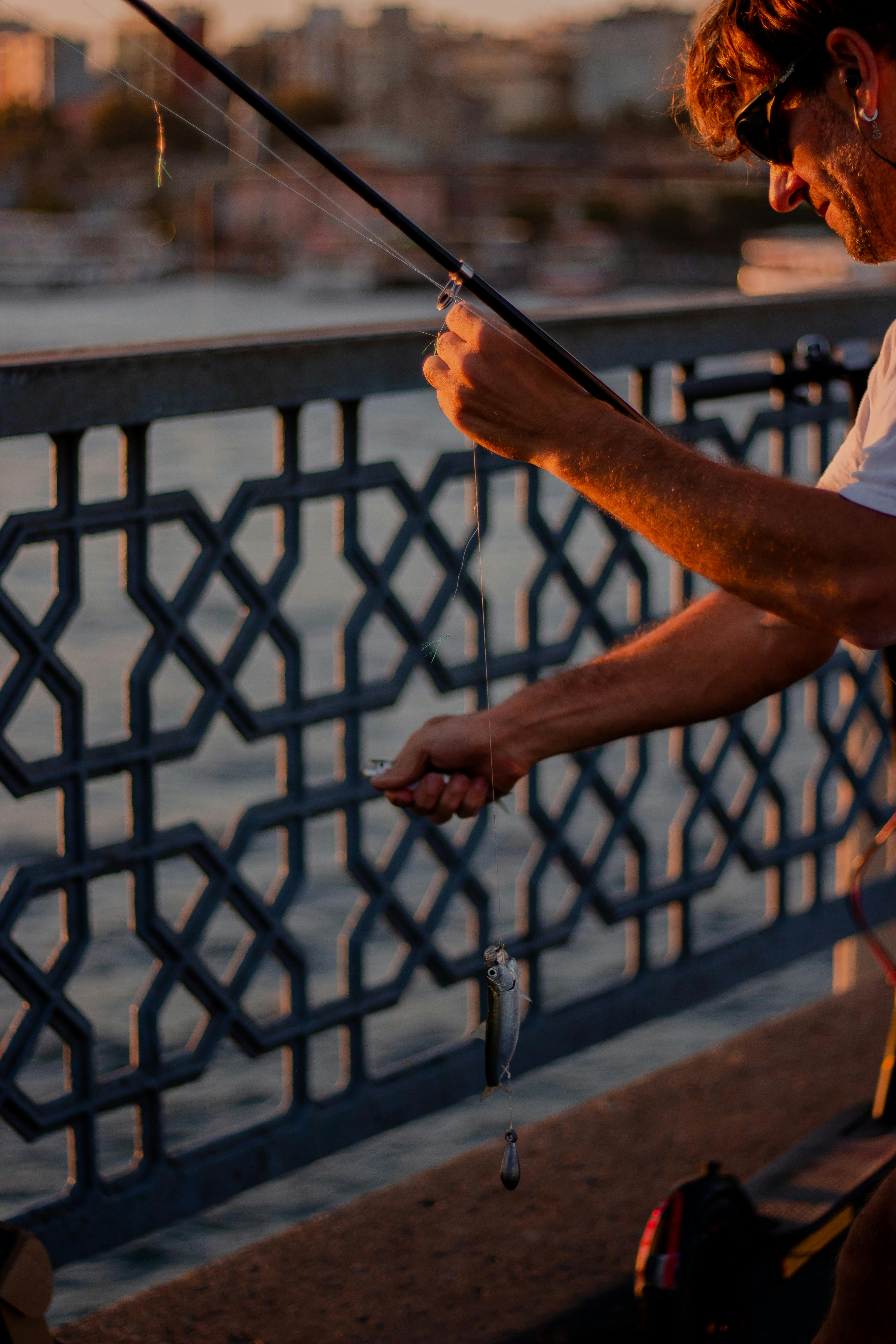 Person Holding Fishing Rod · Free Stock Photo