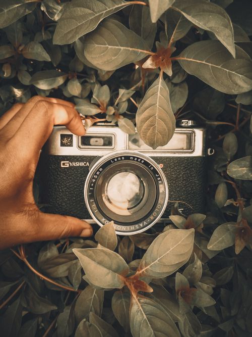 Free Close-up of a hand holding a vintage camera among leaves, creating a cozy mood. Stock Photo
