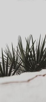 Image by clara Agast