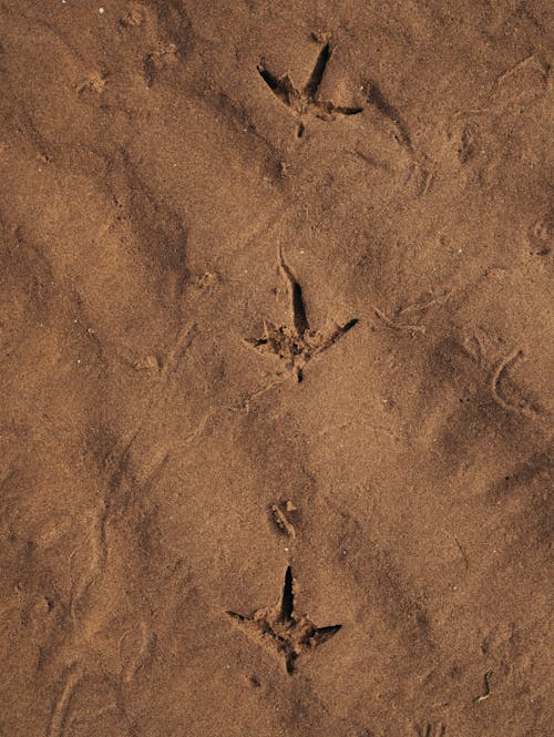 Close-Up Shot of Sand