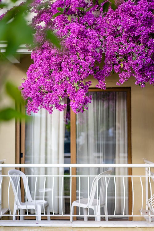 Безкоштовне стокове фото на тему «балкон, балкони, безтурботний»