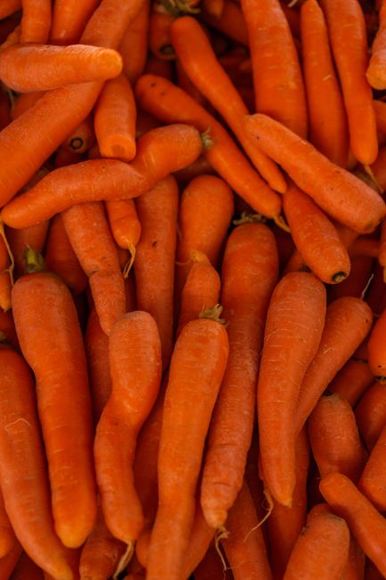 Fresh vegetables and plant foods arranged on a light kitchen surface