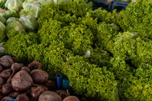 Lettuce in a Store