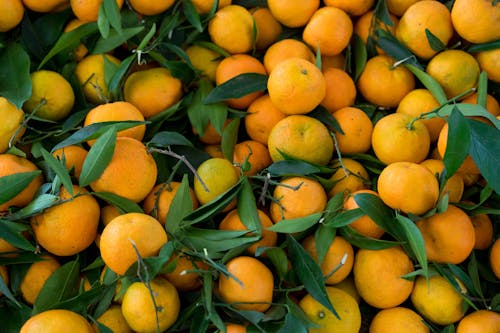 Kostnadsfri bild av apelsiner, C-vitamin, citrus-