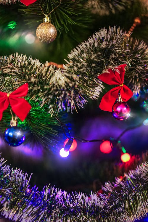 Ücretsiz dikey atış, kapatmak, Noel ağacı içeren Ücretsiz stok fotoğraf Stok Fotoğraflar