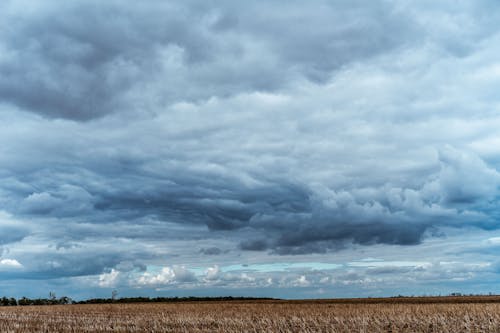 Fotobanka s bezplatnými fotkami na tému lúka, obloha pokrytá oblakmi, pastvina