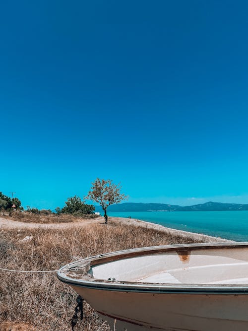 deniz aracı, deniz kenarı, dikey atış içeren Ücretsiz stok fotoğraf