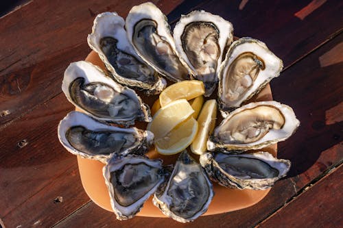 Fresh Oysters on Wooden Table