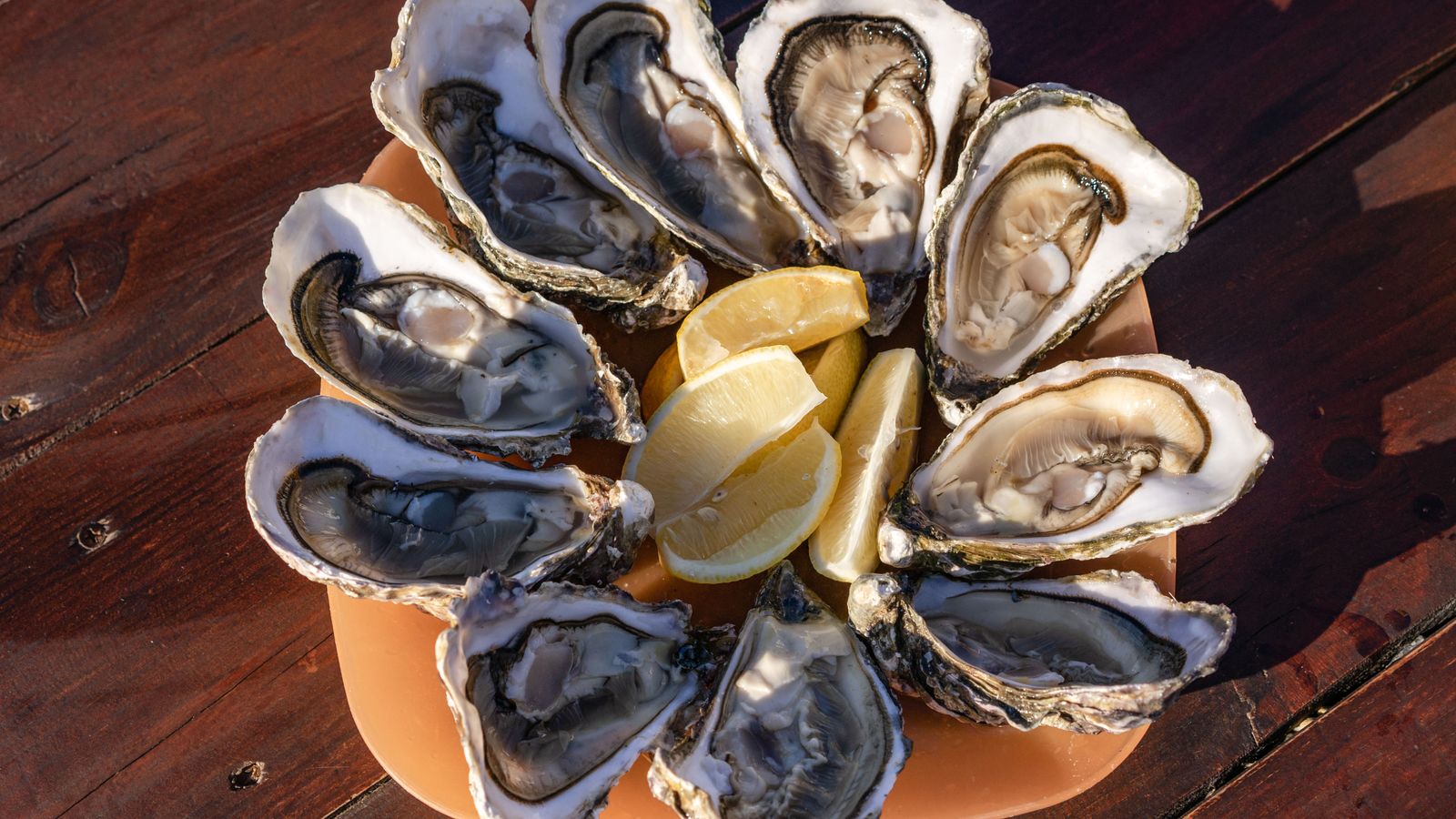 Fresh oysters served with lemon slices on a wooden table — photo by Atlantic Ambience on Pexels Fresh oysters served with lemon slices on a wooden table