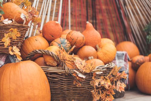 Free A cozy autumn scene with fresh pumpkins and gourds in a woven basket, surrounded by fall foliage. Stock Photo