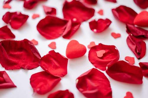 無料 バラの花びら, バレンタイン・デー, ロマンスの無料の写真素材 写真素材