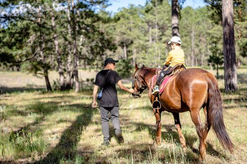 Horse Riding Instructor Photos, Download The BEST Free Horse Riding ...