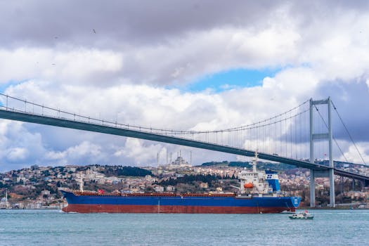 Cargo ship sails under Bosphorus Bridge in Istanbul, Turkey with a cityscape background.