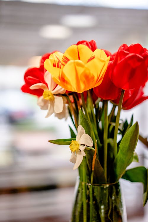 Imagine de stoc gratuită din buchet, decorațiune, flori