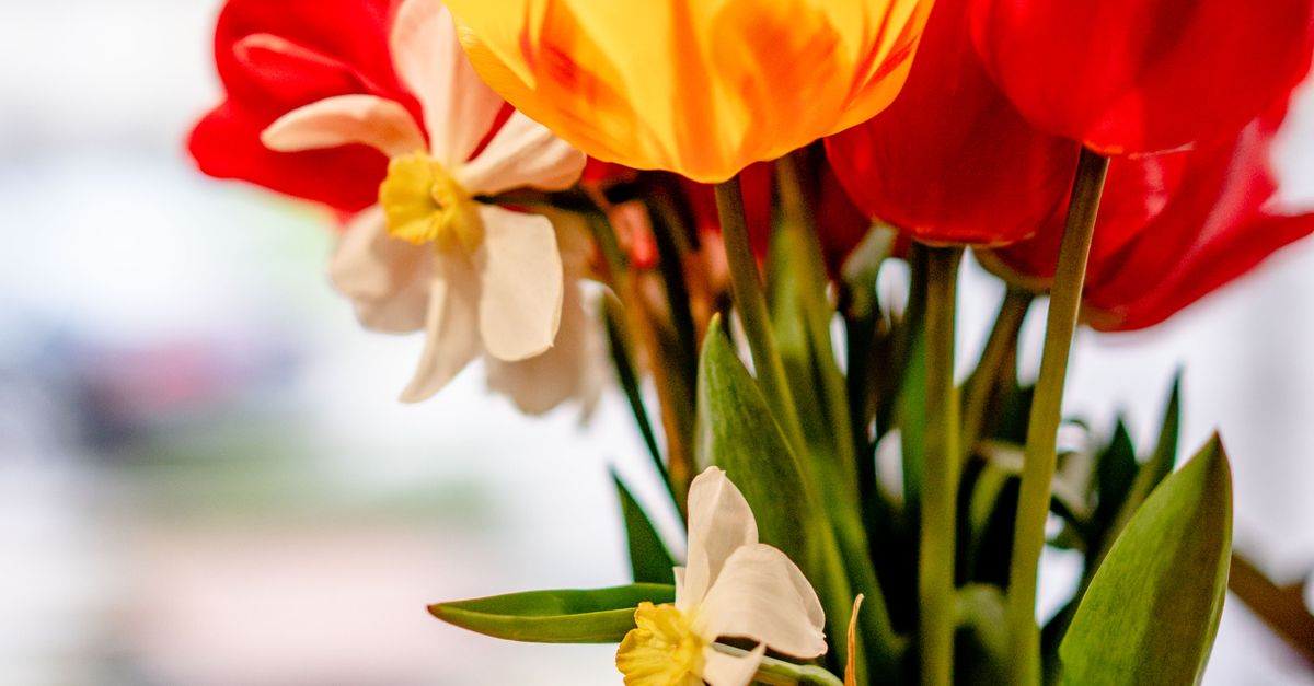 sample-blog-title-placeholder-2