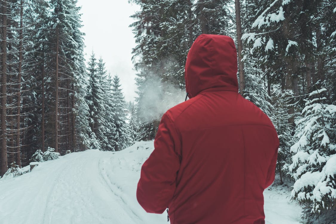 Person in Red Hoodie Standing on Snow Covered Ground · Free Stock Photo