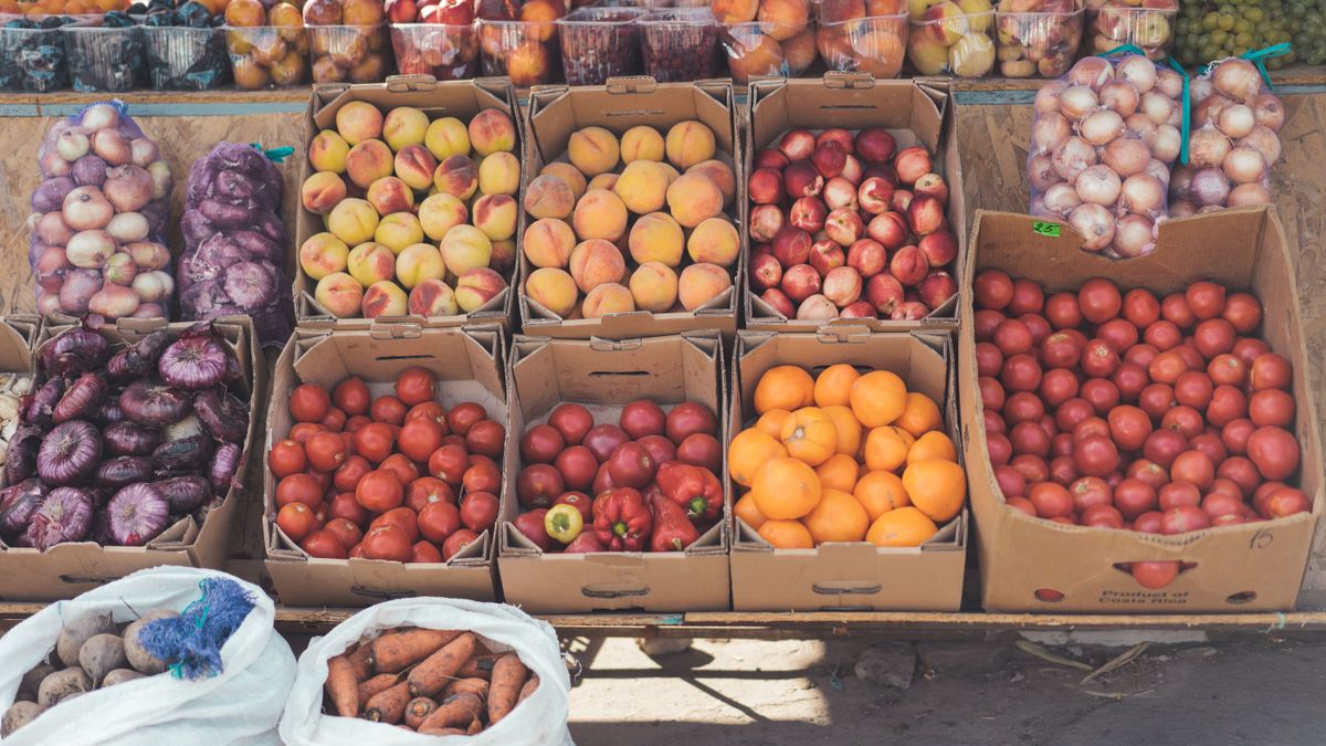 Les tendances de la nutrition durable en 2026 - illustration