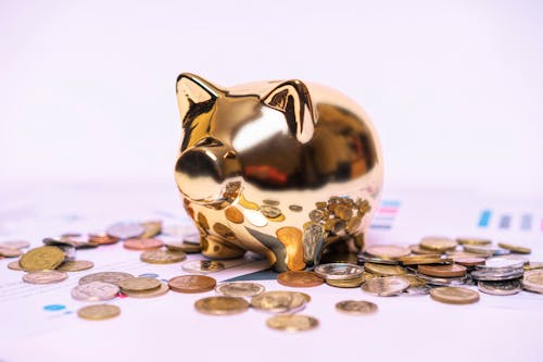 Piggy Bank Photos, Download The BEST Free Piggy Bank Stock Photos & HD  Images