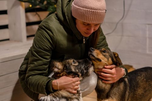 Free Warm winter snuggle with woman in beanie and her two cuddly dogs. Stock Photo