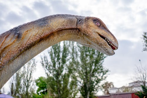 Бесплатное стоковое фото с большой, голова, динозавр